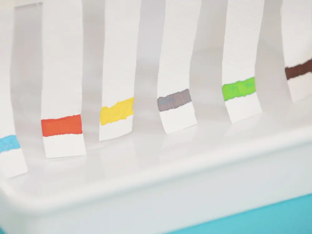 Ricercamnondo_img-1000x750px_1 (1)